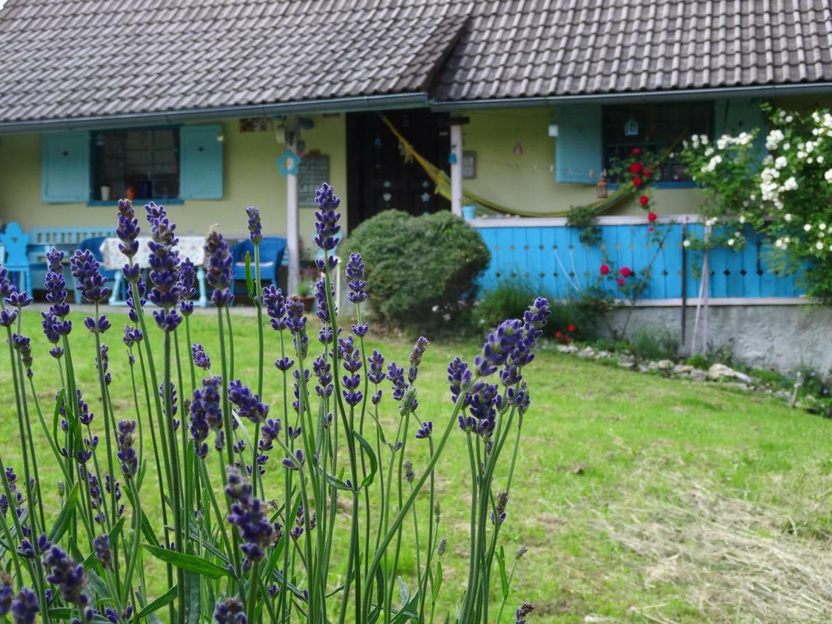 Blue Cottage Podvrh  Extérieur photo